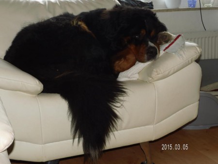 De 4 jarige kerel heeft het al goed naar zijn zin 